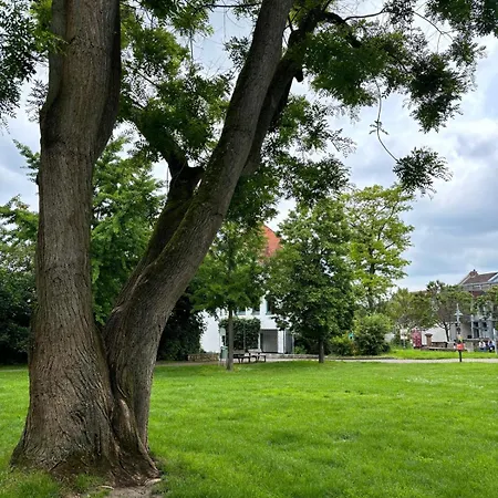 Am Dollespark Bodenheim Exterior foto