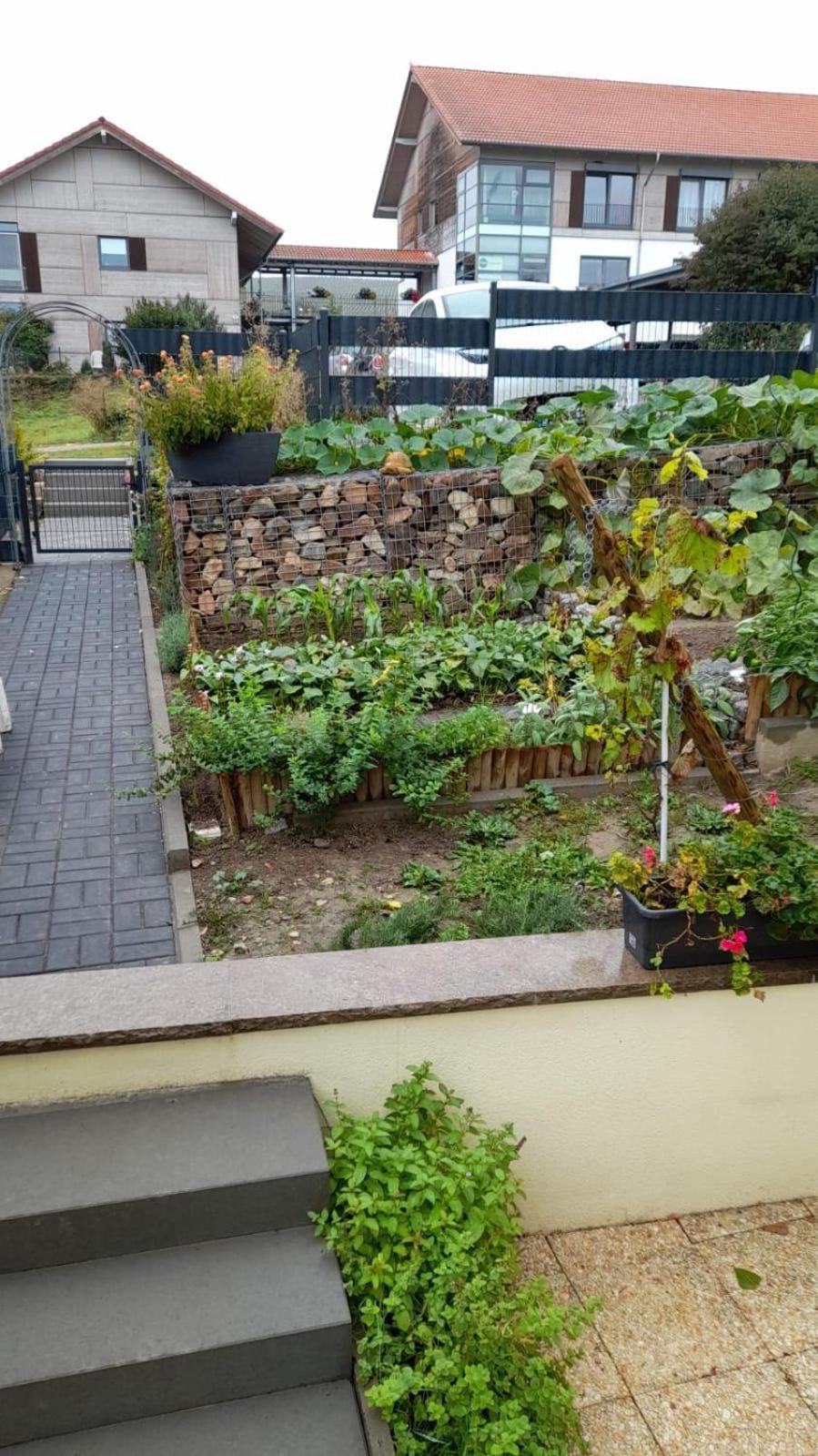 Am Dollespark Appartement Bodenheim